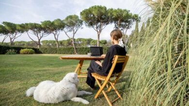 ragazza che fa study retreat in campagna, cioè studia in mezzo al verde per prepararsi a esame o verifica
