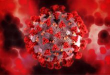 Leucemia linfoblastica acuta