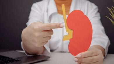 una dottoressa usa un modellino in carta di un rene per spiegare le malattie del rene rare
