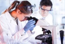 ricercatori che per il linfoma diffuso a grandi cellule B scoprono nuova terapia