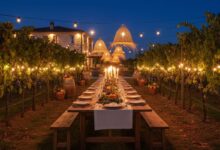 masseria con tavolo imbadito e apparecchiato in mezzo alle vigne per sperimentare lo slowxury
