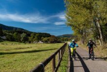 autunno in val di fiemme con due persone che pedalano sulla mountain bike