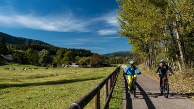 autunno in val di fiemme con due persone che pedalano sulla mountain bike